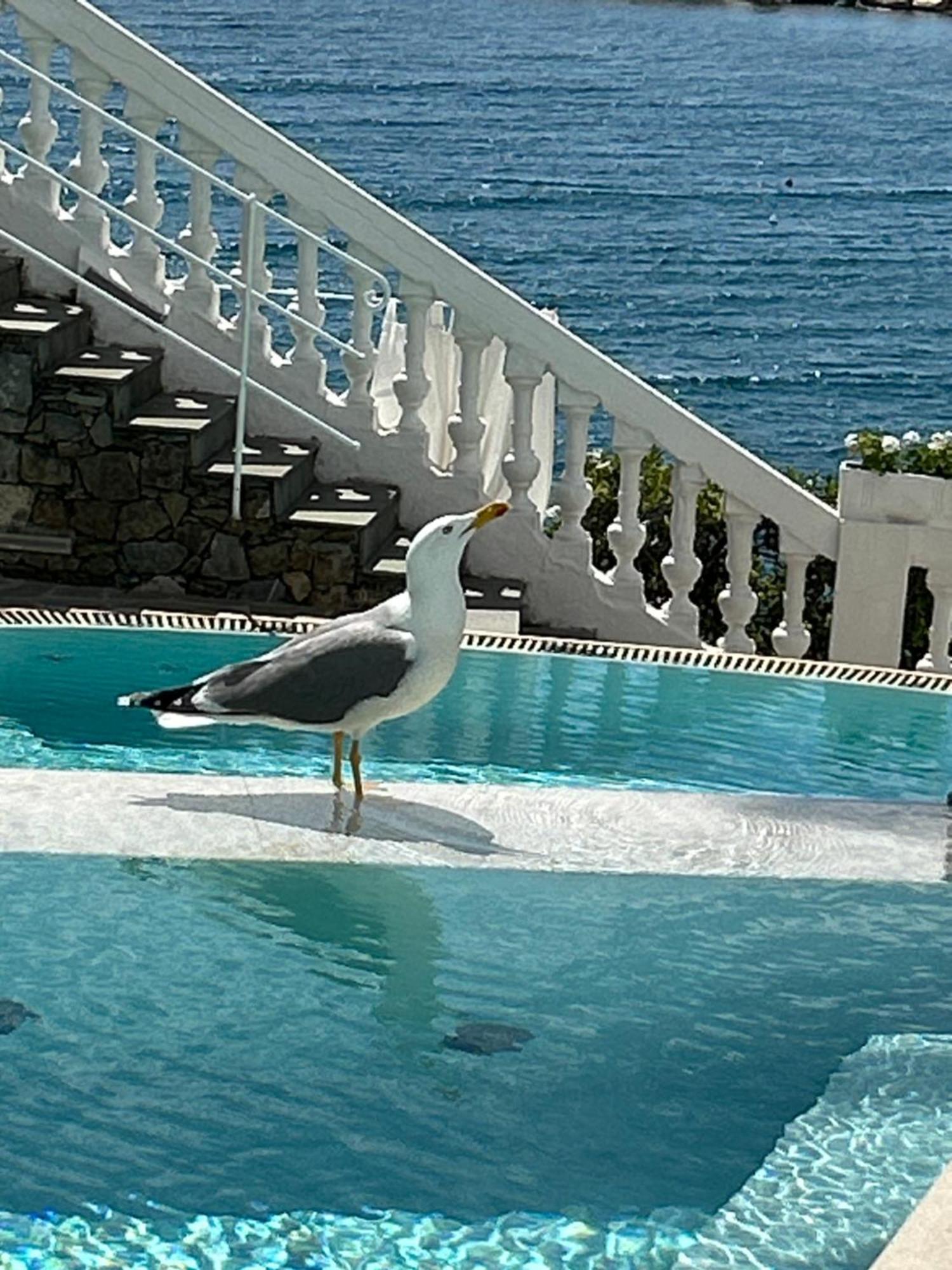 Hotel Helvetia Sestri Levante Exteriör bild